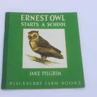 Vintage child's picture book Ernest Owl Starts A school Jane Pilgrim Blackberry Farm, children&#