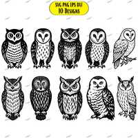 10 Elegant Owl Designs SVG Bundle | Front Facing Owl Clipart (Digital Download)