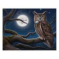 Mystical Owl Jigsaw Puzzle with Tin, Perfect for Family Game Night, Unique Gift for Nature Lovers, 1