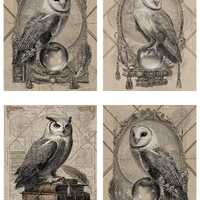 Rice Paper for Decoupage / Owl Owls Halloween Alchemy Magic / 1 Rice Paper / A4 / A5 / Customizable