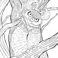 Great-Horned Owl