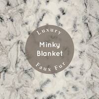 SOFT Snowy Owl Throw Blanket, Neutral Throw Blanket, Adult Minky Blanket, Plush Gray Throw, Alloy Th