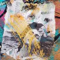 OWL Ancient Wisdom abstract intuitive art mixed media painting signed hermit tarot