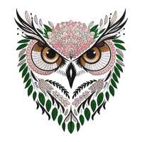 Colorful Floral Owl Embroidery Design (Digital Download)