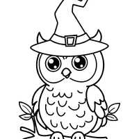 Witchy Owl