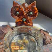 Las Vegas Souvenir Owl Lucite & Petrified Wood w/ Glass Ashtray Insert On Tray