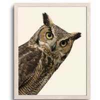 Funny Owl Bathroom Wall Art, Owl Gift For Her, Owl Gift For Him, Cute Toilet Humor Decor, Owl Animal
