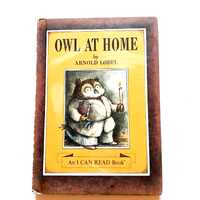 Owl At Home, Arnold Lobel, 1975, Vintage Children's Weekly Reader Book