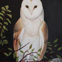 Barn Owl 2022