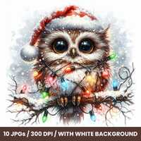 Quirky Christmas Owl Clipart Set of 10 JPGs Christmas Animal Clipart, Printable Watercolor Clipart, 
