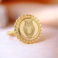 Owl Ring in Gold, Symbolic Animal Jewelry, Intuition & Wisdom Ring, Minimalist Signet Ring, Hand