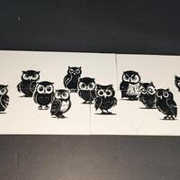 Disappearing Owl Illusion