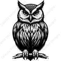 Owl vector clipart - 4 images digital download for cricut, silhouette - svg, png, jpg, pdf, eps file