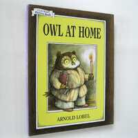 Owl at Home