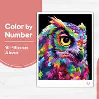 Colorful Owl Illustration Color by Number PBN for Procreate, Sketchbook, Prints, Easy/Advanced, Kid/