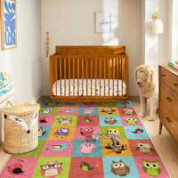 Owl Kids Rug Colorful Cartoon Birds Play Mat for Nursery Decor Animal Play Mat Bright Cartoon Owl Bi