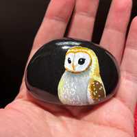 Barn Owl Painted Rock, Glazed Acrylic, cute bird, black stone