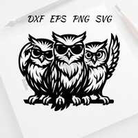 Owl With Sunglasses Svg - Owl Png - Owl Clipart - Owl Vector Bundle Pack - Cool Owl Vector Set with 