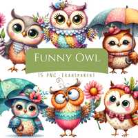 Funny Owl Clipart Bundle 15 PNG High Quality Watercolor Quirky Owl Digital Download Funny Woodland O