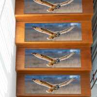 Flying Owl Step Rugs, Loft Rugs, Brown Rugs, Stair Rugs, Goblen Rug, Pet Friendly Rug, Car Mat, Livi