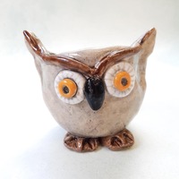 Owl pot, fun bird sculpture  ornament by Crazy Chicken Ceramics