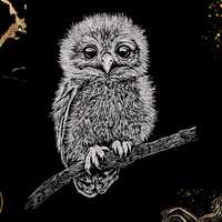 Baby Owl Embroidery Design | Cute Woodland Animal | For Jackets, Bags, Gifts | Digital Download | Fo