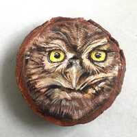 Little owl portrait : painted on natural wood