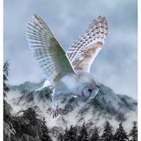 Flying Owl Panel 31” x 42 1/2" Call of the Wild by Hoffman Quilting Fabric Panels