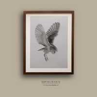 Silent Flight – Original Owl Drawing in Graphite Pencil