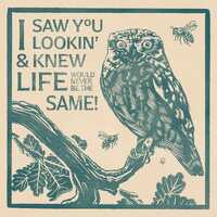 Romantic Owl Hand Drawn Wall Art Retro Illustrated Design For Love And Appreciation Decor Block Prin