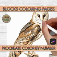 Barn Owl 1 Blocks Coloring Pages - Watercolor Pixel Art - Procreate Color By Number Digital Download