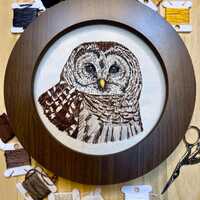 Hand Embroidered Barred Owl | Bird Embroidery Art