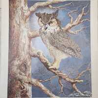 Harry Duncan ASA “The Night Watch” Owl Serigraph – Signed & Numbered 1558/2500