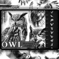 Owl Realism Procreate Stamp Set 1 - 50 Owl Bird, Forest Nature Brush Stamps | Illustration | Tattoo 