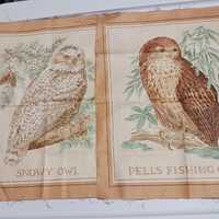 2 OWL FABRIC Quilt Blocks 13.25" x 12"