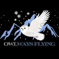 Owlways Flying Snowy Owl Hoodie Winter Snowflake Design Cozy Sweatshirt Bird Lover Gift for Ski Love