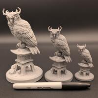 The Kojiro Owl - BFG