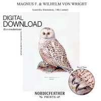 Vintage Snowy Owl Art Print | 19th Century Scientific Illustration | High-Quality Digital Download |