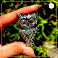 Hand-Carved Labradorite Owl Gemstone Carving Natural Unheated Hand Carved Owl 42*24*5mm (With Video)