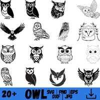 Owl Svg Bundle, Owl Designs, Clipart, Owl Png, Floral Owl Svg, Owl Vector, Owl Zentangle Svg, Owl Ma
