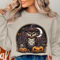 Halloween Owl Witch PNG, Digital Download, Spooky Pumpkins, Witch Hat Bird Clip Art for T-shirts, Su