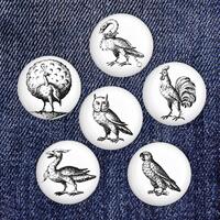Medieval Bird Pin Collection: Owl, Peacock, Rooster, Parrot, Cygnet, and Rooster Designs / 1-Inch