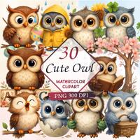 Owl Watercolor Bundle, Cute Owl Clipart, Png Clipart, Commercial use Clipart, Watercolor Clipart, Su