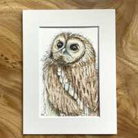 Tawny owl watercolour and ink original artwork, original owl watercolour, original owl painting