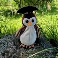 TY Beanie Baby "Wise" Owl, Class of '98, Graduation Gift, Vintage 1998 Plush, TY Origi