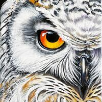 Polar White Owl Oil Painting Original Art Birds Canvas Painting Wall Artwork