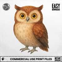 Owl Png, Owl Clipart, Bird Png, Bird Clipart, Watercolor Owl, Watercolor Bird, Owls Png, Owls Clipar