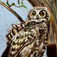 Original Art , Owl Art , Owl Lover Gift , Wall Art , Animal Artwork , Drawing on Paper , Colored Pen