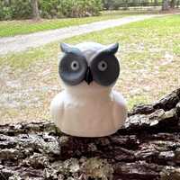 White Owl Cruise Duck Cute Owl Hide and Seek Duck for Ship Adventures Gift for Owl Lovers & Natu