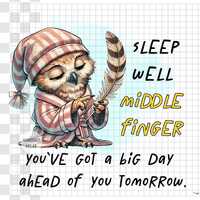 Funny Owl Sublimation Design Sleep Quote, Digital Download